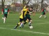 Piast013.jpg