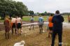 blotnowola_pilka086.jpg