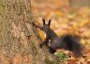 fotografia_wystwa_gladys026.jpg